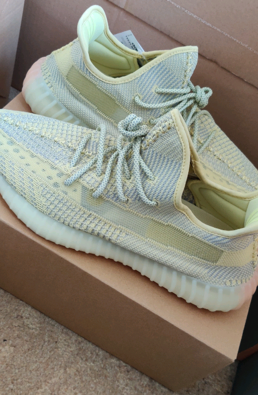 Adidas Yeezy Boost 350 V2 Antila UK12.5 | in Fallowfield, Manchester | Gumtree
